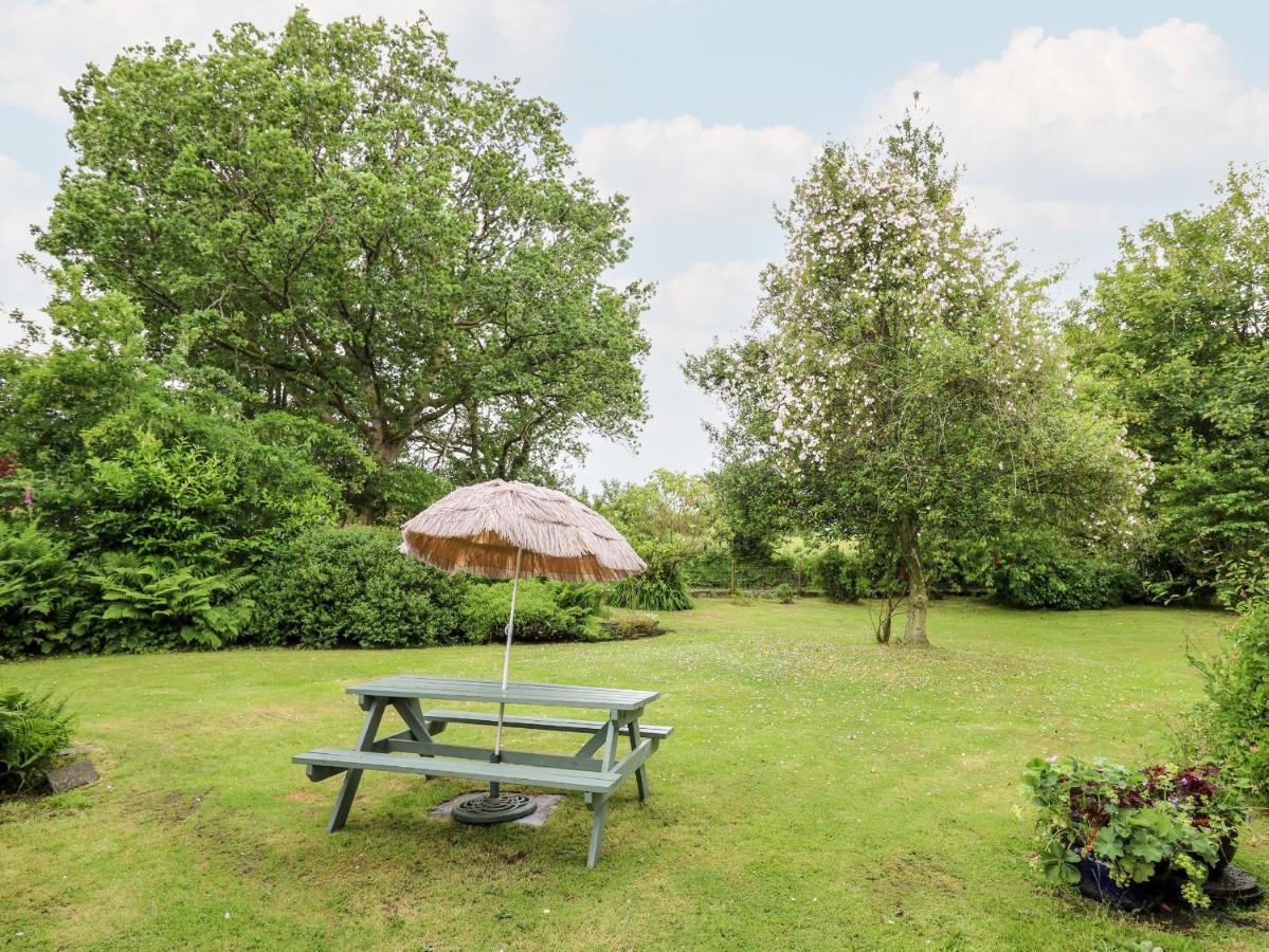 Maesgwyn Villa Кардиган Екстериор снимка
