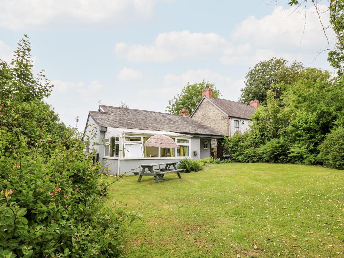 Maesgwyn Villa Кардиган Екстериор снимка